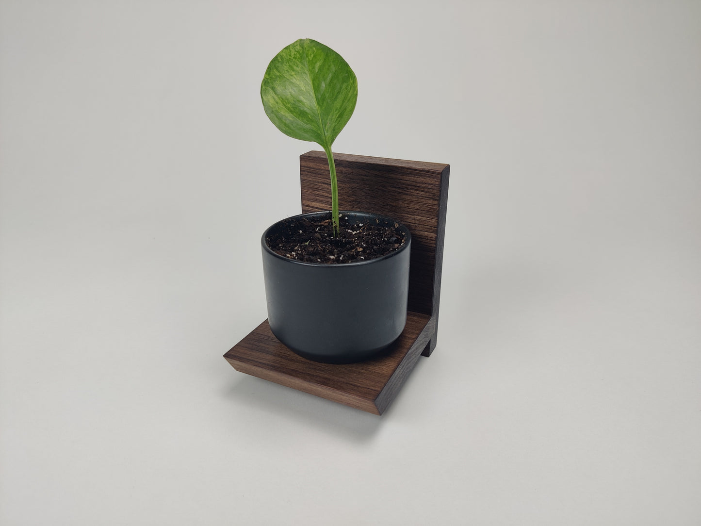 Mini walnut floating shelves